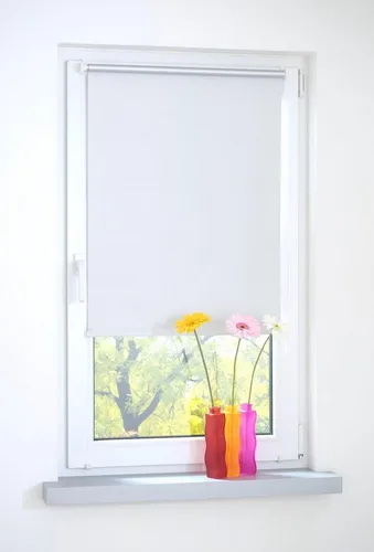 Seitenzugrollo, Liedeco, blickdicht, ohne Bohren, Klemmfix