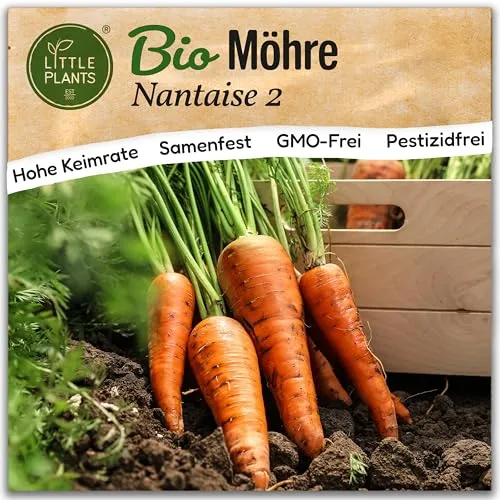 Saatgut von Little Plants