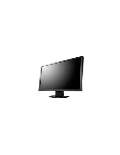EIZO Eizo Foris FG2421 60 cm (23,5 Zoll) 16:9 LED LCD Monitor - Schwarz