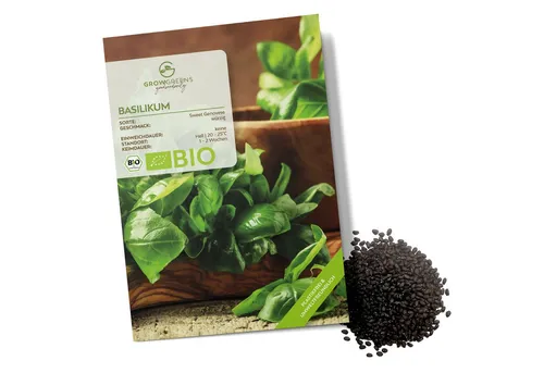 Growgreens Kräutersamen BIO Basilikum Samen Sweet Genovese - Saatgut aus bio. Anbau (400 Korn)
