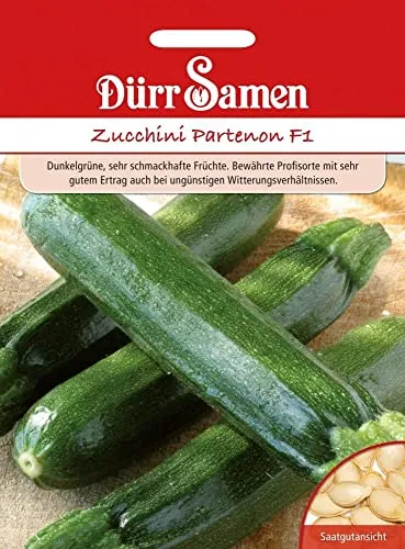 Dürr-Samen - Zucchini Partenon F1 Saatgut