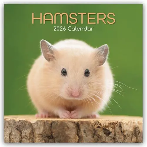 Hamsters – Hamster 2026 – 16-Monatskalender: Original Gifted Stationery-Kalender [Mehrsprachig] [Kalender] (Wall-Kalender)