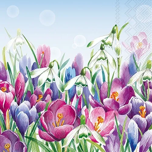 Servietten Crocus light blue Krokus Schneeglöcken Blumen Frühling 33x33cm 20