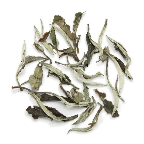 tea exclusive