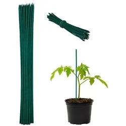 Relaxdays Grüne Pflanzstäbe 30 cm im 150er Set Dunkelgrün