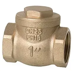 Rückschlagklappe mit Gummidichtung auf der Ventilklappe 1