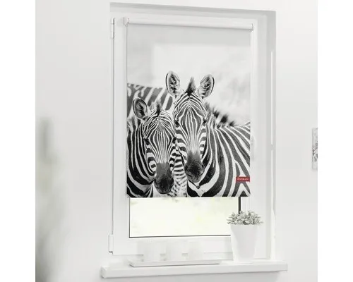 Klemmrollo Lichtblick Zebra 45x150 cm ohne Bohren - Jalousien & Rollos, blickdichtes und gemustertes Rollo für stilvolle Fensterdekoration, ideal für verschiedene Räume ohne Bohren montierbar.