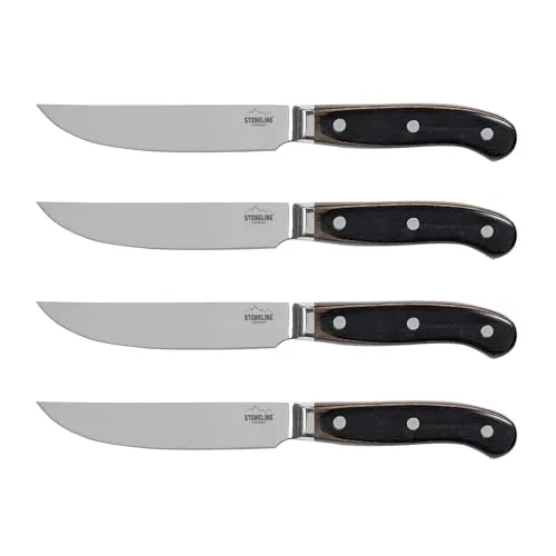 STONELINE Steakmesser Set 4-teilig - Hochwertiges Steakmesser Set aus rostfreiem Spezialklingenstahl, inklusive Schleifstein und edler Holzbox – ideal für präzises Schneiden von Fleisch und Grillgerichten.