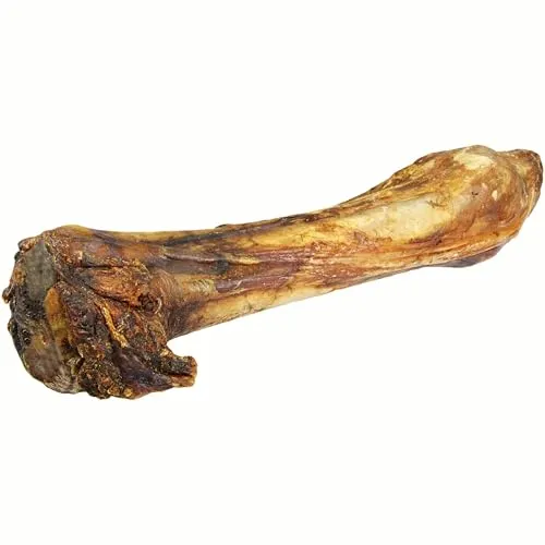 Pferdeknochen 1 Stück / 800-900g - großer, Schwerer Beinknochen vom Pferd