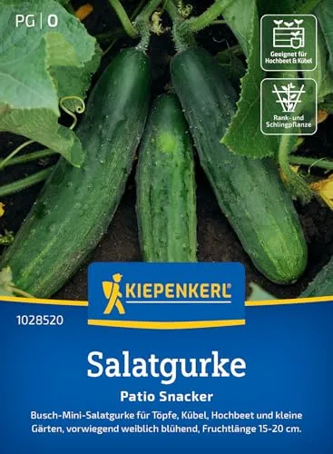 Kiepenkerl Salatgurkensamen Patio Snacker 1028520 - Kompakte Gurkensamen für kleine Gärten, ideal als Snack oder in Salaten, frische bitterfreie Gurken