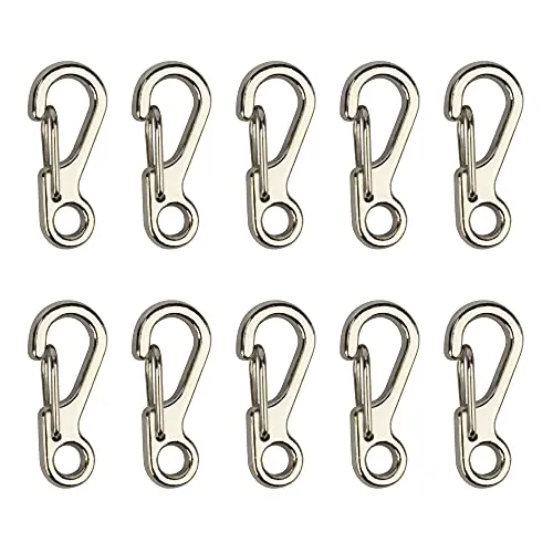Temlum Aluminium Karabinerhaken, 2,5 cm Mini Karabiner Set, Karabinerhaken mit Schnapp Verschluss, Schlüsselanhänger Haken für Camping, Reisen, Wandern (Silber, 10 Stück)