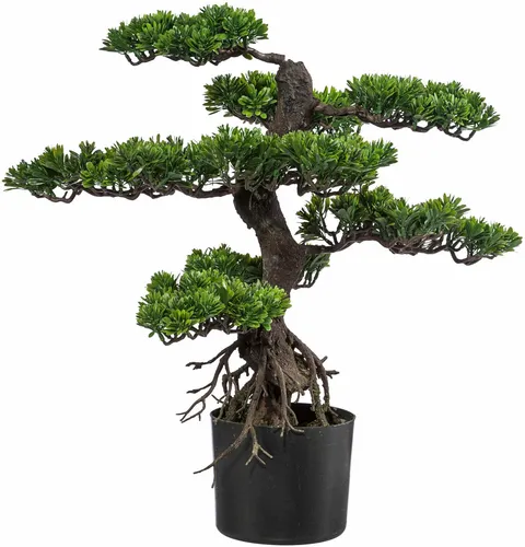 Creativ green Kunstbonsai 65 cm - Kunstbonsai in grün, 65 cm hoch, pflegeleicht und ideal für jeden Raum. Inklusive Übertopf und 2 Jahre Herstellergarantie.