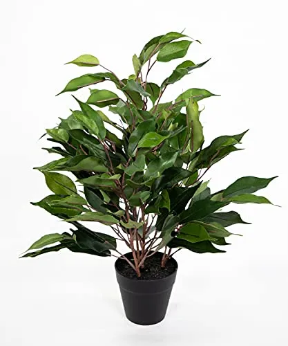 Seidenblumen Roß Ficus Benjamini 42cm grün im Topf JA Kunstpflanze künstliche Pflanzen Birkenfeige