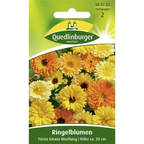 Ringelblume, Fiesta Gitana Mischung von Quedlinburger