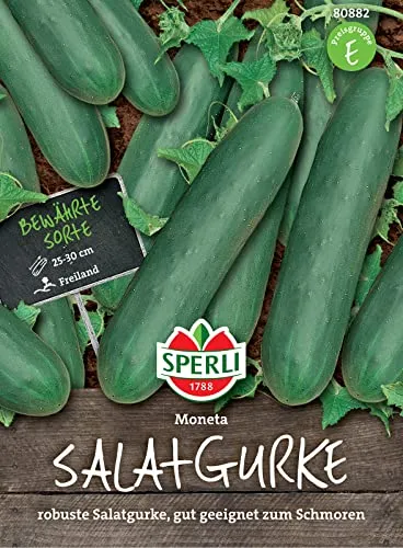 Sperli 80882 Salatgurke Moneta, Freilandgurke mit schlanken dunkelgrünen festen Früchten