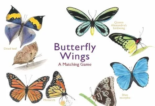 Christine Berrie Butterfly Wings (Cards)