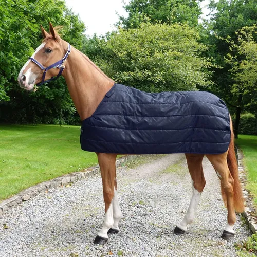 Bucas Pferde-Thermodecke Liner 100g 165 cm - Reiten - Hochwertige Thermodecke für Pferde, ideal für kalte Tage und sorgt für optimale Wärmeisolierung.