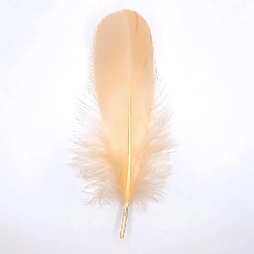 Natürliche Federn Gänsefedern, ca. 15-20 cm, 10 Stück, Aprikosenfarben - Kopper-24 Gans Schwanzfedern Schmuck Dekoration Bastelfedern für Hochzeit Karneval Party Deko Kostüme Natur Basteln