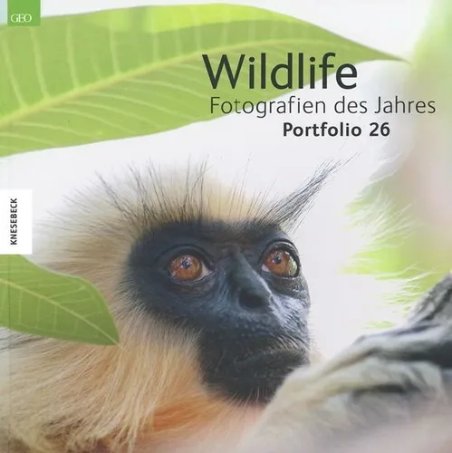 Wildlife Fotografien des Jahres 2016 / Portfolio 26