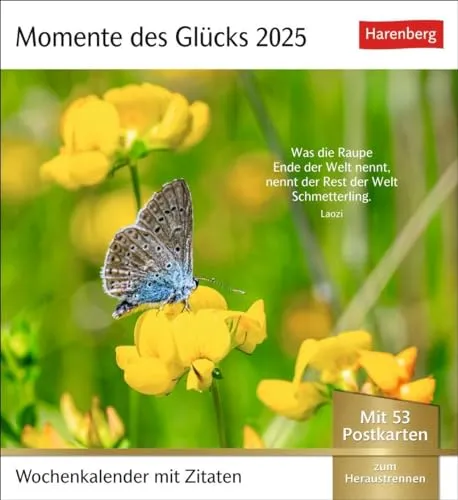 Momente des Glücks Postkartenkalender 2025 - Wochenkalender mit Zitaten, mit 53 Postkarten: Positive Stimmung und Zufriedenheit im Postkartenformat. ... und schönen Fotos zum Sammeln und Verschicken