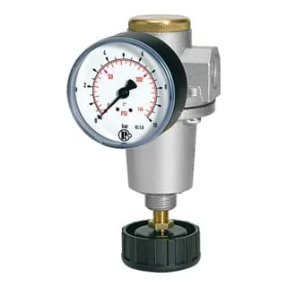 Riegler Druckregler »Standard« inkl. Manometer BG 2 G 1/2 0,2 - 6 bar - Druckregler mit integriertem Manometer, ideal für präzise Druckregelung in verschiedenen Anwendungen, Kategorie: Sonstige.