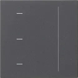 Gira System 3000 Touchaufsatz (anthrazit) von Gira