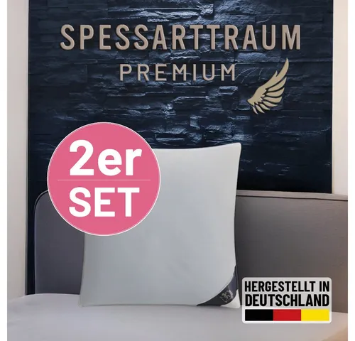 Gänsedaunenkopfkissen SPESSARTTRAUM 