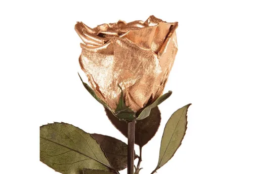 Kunstblume Ewige Rose von Rosemarie Schulz
