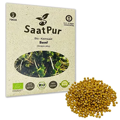 Senf Mustard BIO Keimsprossen von SaatPur - Sprossen, Microgreens - 50g