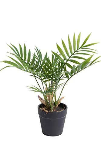 Kunstpflanze (Palme, Ficus, Schefflera, Akuba, Croton) Höhe ca. 30 cm im schwarzen Kunststofftopf (Chamaedorea Palme grün)