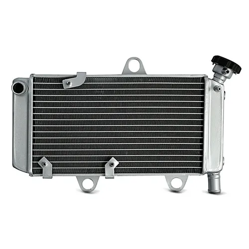 Zaddox Motor-Schutzhülle Ölkühler für Yamaha XT 660 R X 04-14 Radiator Kühler