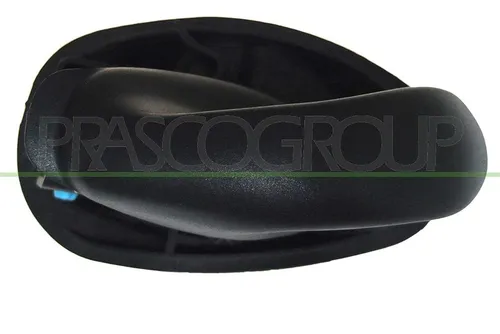 Prasco Türgriff, Innenausstattung FT0198402