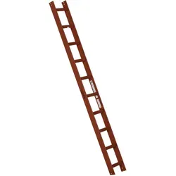 Euroline Premium Kaminkehrerleiter 10 Sprossen von euroline