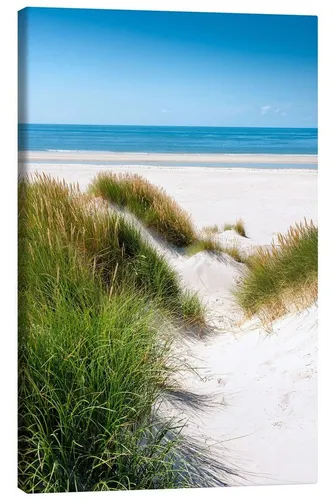 Posterlounge Wandbild Nordsee - Dünenlandschaft, Reiner Würz, erhältlich als Poster, Leinwandbild, Wandsticker oder Acrylglasbild
