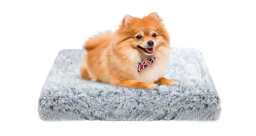 MDDK DY Hundebett, katzenbett, klein Hundekissen Waschbare, Flauschige Hundematte, Langer Plüsch, weiche Polsterung, multifunktional Hundekistenmatratze, Ombré-Grau,50x40x5cm
