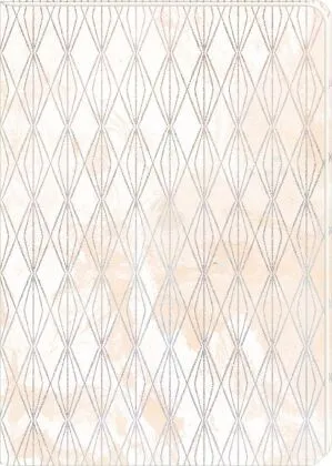 Notizhefte DIN A5 | Print, nicht näher spezifiziert | 4050003953939