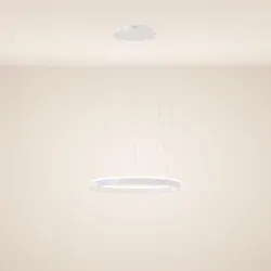 s.luce LED Ring Pendelleuchte rund von s.luce