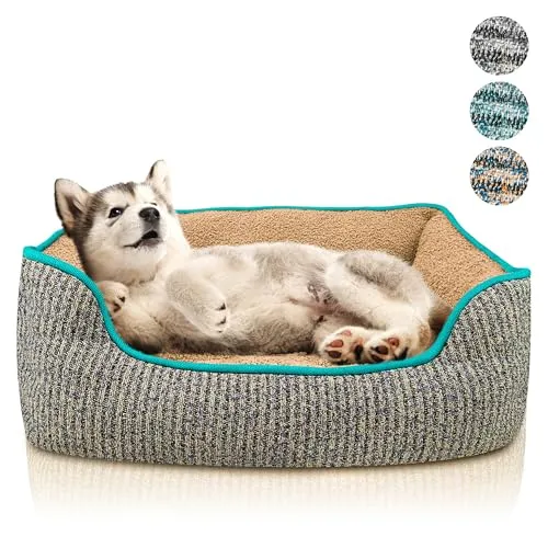 bluzelle Hundebett für kleine Hunde & Katzen – Waschbar, rutschfest und flauschig - Kuscheliges Hundebett in Größe S (53x42x18 cm) für kleinen Hunde und Katzen. Mit herausnehmbarem Kissen und rutschfester Unterseite für sicheren Halt. Pflegeleicht und angenehm für erholsamen Schlaf.