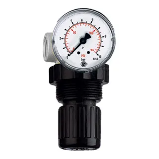 RIEGLER 100766-480.21 Druckregler »Standard-mini«