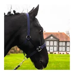 Pferdelinis Halfter Pferde Halfter Full, Cob, Kaltblut, Pony, verstellbare Dornschnallen, zweifach verstellbar blau Kaltblut