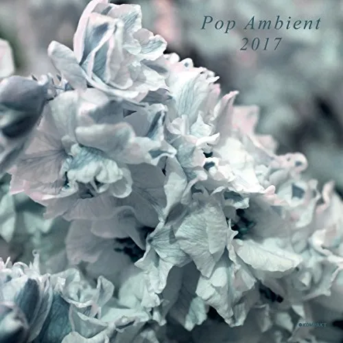 Pop Ambient 2017 (Lp/180g+Mp3) [Vinyl LP]