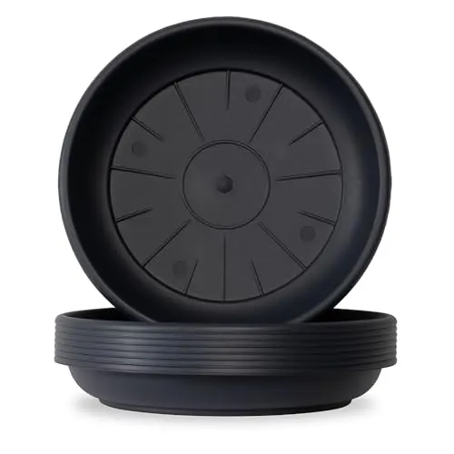 Weedness Blumentopf Untersetzer Rund Ø 14 cm in Schwarz für Außen & Innen - Blumentöpfe Plastik Pflanzentopf Pflanzgefäß Pflanzkübel Anzuchttopf Blumenkübel Garten Balkon