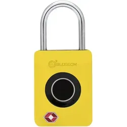 Südmetall Vorhängeschloss mit Fingerabdruck-Scan 30 x 18 mm