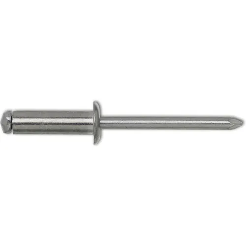GESIPA Blindniete Flachrundkopf ISO15979 - 4,8x10 mm, Stahl verzinkt - Eisenwaren: Hochwertige Blindniete mit hoher Zugkraft von 4400 N, ideal für langlebige Verbindungen in Metallkonstruktionen.
