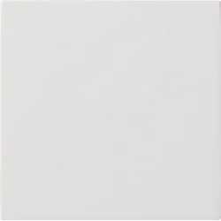 Gira 5360112 S3000 Bedienaufsatz, Flächenschalter, reinweiß glänzend