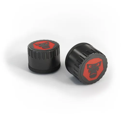 RideLink RDKS BT5 Reifendruckkontrollsystem, schwarz - Reifenzubehör mit präziser Druck- und Temperaturmessung, kompakt und benutzerfreundlich für sicheres Fahren.