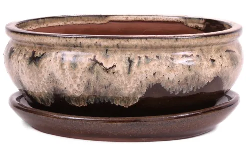 Bonsai - Schale oval 21 x 16.5 x 8 cm , beige / braun , mit Untersetzer 23204