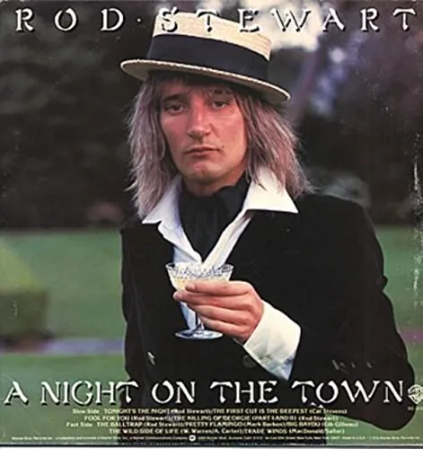 A night on the town (1976) [Vinyl LP]