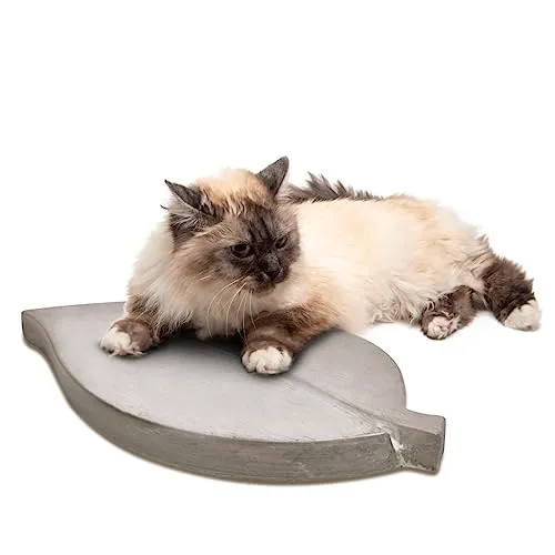 matches21 - XXL Trittsteine große Blätter Blatt-Form 2 Paar (4 STK.) Tritt-Steine Beton Garten 35x18 cm dekorative Tretsteine