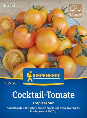 Kiepenkerl Cocktail-Tomatensamen Tropical Sun 1035720 in gelb von Kiepenkerl
